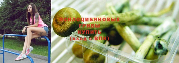 амф Гусев