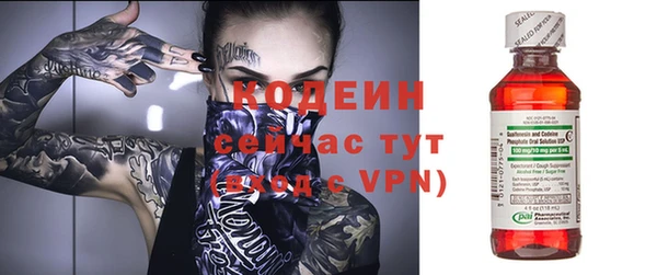 амф Гусев