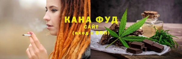 амф Гусев