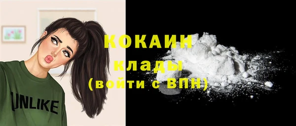 амф Гусев