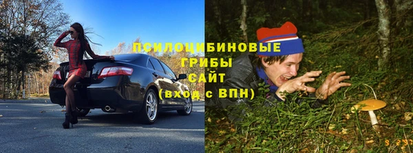 бутират Гусь-Хрустальный