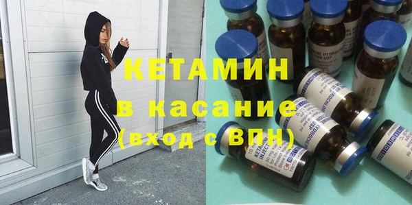 амф Гусев