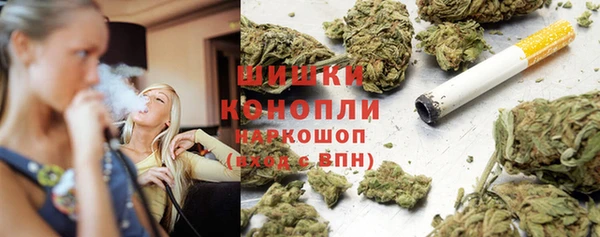 амф Гусев