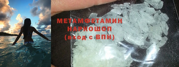 амф Гусев