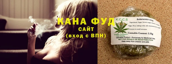 амф Гусев