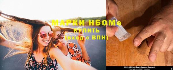 амф Гусев