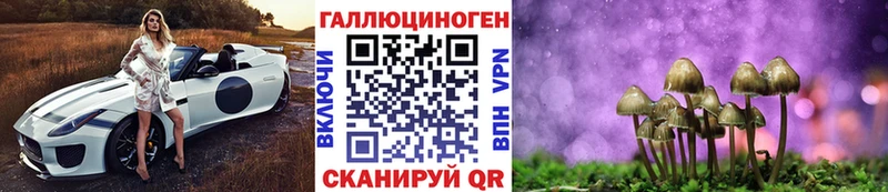 Купить  Мончегорск  Галлюциногенные грибы Magic Shrooms 