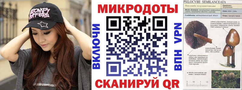 Псилоцибиновые грибы мухоморы Мончегорск